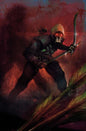 ABSOLUTE GREEN ARROW #4 (OF 6) CVR B MARTIN SIMMONDS (Pre-Order)