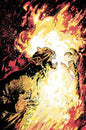 DEMON #1 CVR C MICHAEL WALSH CARD STOCK (Pre-Order)