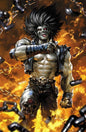 LOBO #8 CVR B DERRICK CHEW CARD (Pre-Order)