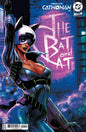 ABSOLUTE CATWOMAN #4 (OF 6) CVR D ISA WORKS (Pre-Order)
