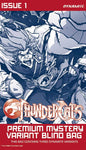 THUNDERCATS (2026) #1 CVR I PREMIUM MYSTERY BLIND BAG (Pre-Order)