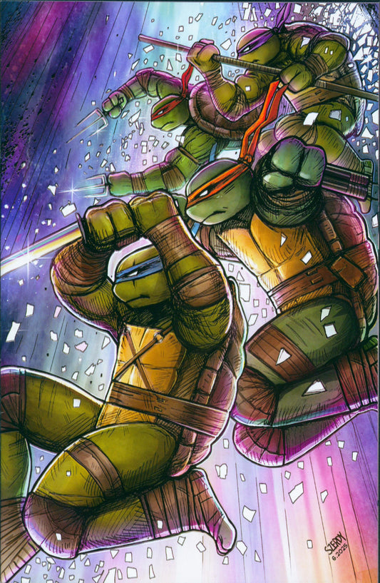 Teenage Mutant Ninja Turtles #13 1:25 Szerdy