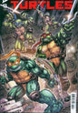 Teenage Mutant Ninja Turtles #13 Cover A