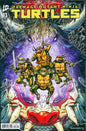 Teenage Mutant Ninja Turtles #13 Cover B