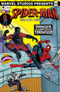 PUNISHER VS. SPIDER-MAN #2 BRAND NEW DAY