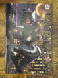 Absolute Catwoman #2 Kaare Andrews Exclusive